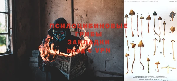 прущий лед Алексеевка