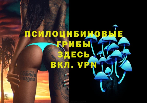 прущие грибы Алексин