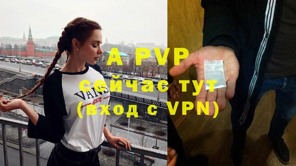 гидра Горняк