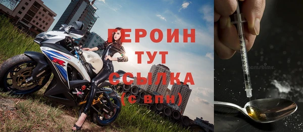 стаф Дмитровск
