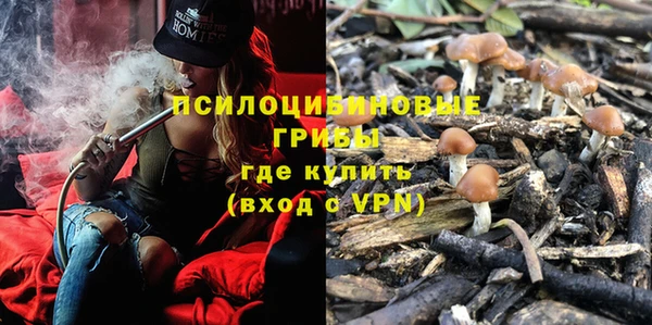 прущие грибы Алексин