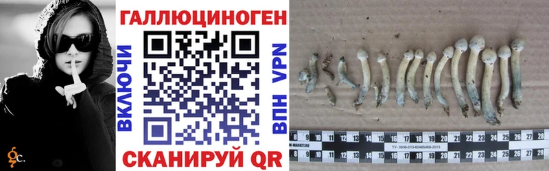 Псилоцибиновые грибы прущие грибы  MEGA ТОР  Полевской 